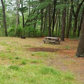 Review photo of Nickerson State Park Campground by Jean C., May 31, 2020