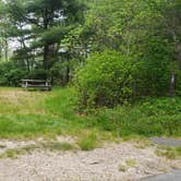 Review photo of Nickerson State Park Campground by Jean C., May 31, 2020