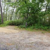 Review photo of Nickerson State Park Campground by Jean C., May 31, 2020