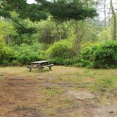 Review photo of Nickerson State Park Campground by Jean C., May 31, 2020