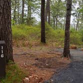 Review photo of Nickerson State Park Campground by Jean C., May 31, 2020