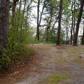 Review photo of Nickerson State Park Campground by Jean C., May 31, 2020