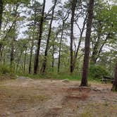 Review photo of Nickerson State Park Campground by Jean C., May 31, 2020