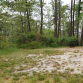 Review photo of Nickerson State Park Campground by Jean C., May 31, 2020