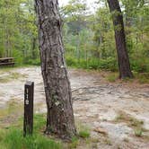 Review photo of Nickerson State Park Campground by Jean C., May 31, 2020