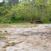 Review photo of Nickerson State Park Campground by Jean C., May 31, 2020