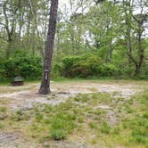 Review photo of Nickerson State Park Campground by Jean C., May 31, 2020