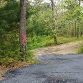 Review photo of Nickerson State Park Campground by Jean C., May 31, 2020