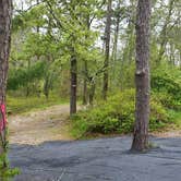 Review photo of Nickerson State Park Campground by Jean C., May 31, 2020