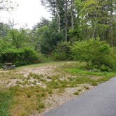 Review photo of Nickerson State Park Campground by Jean C., May 31, 2020