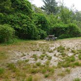 Review photo of Nickerson State Park Campground by Jean C., May 31, 2020