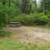 Review photo of Nickerson State Park Campground by Jean C., May 31, 2020