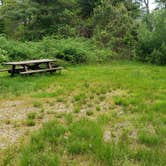 Review photo of Nickerson State Park Campground by Jean C., May 31, 2020