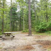 Review photo of Nickerson State Park Campground by Jean C., May 31, 2020