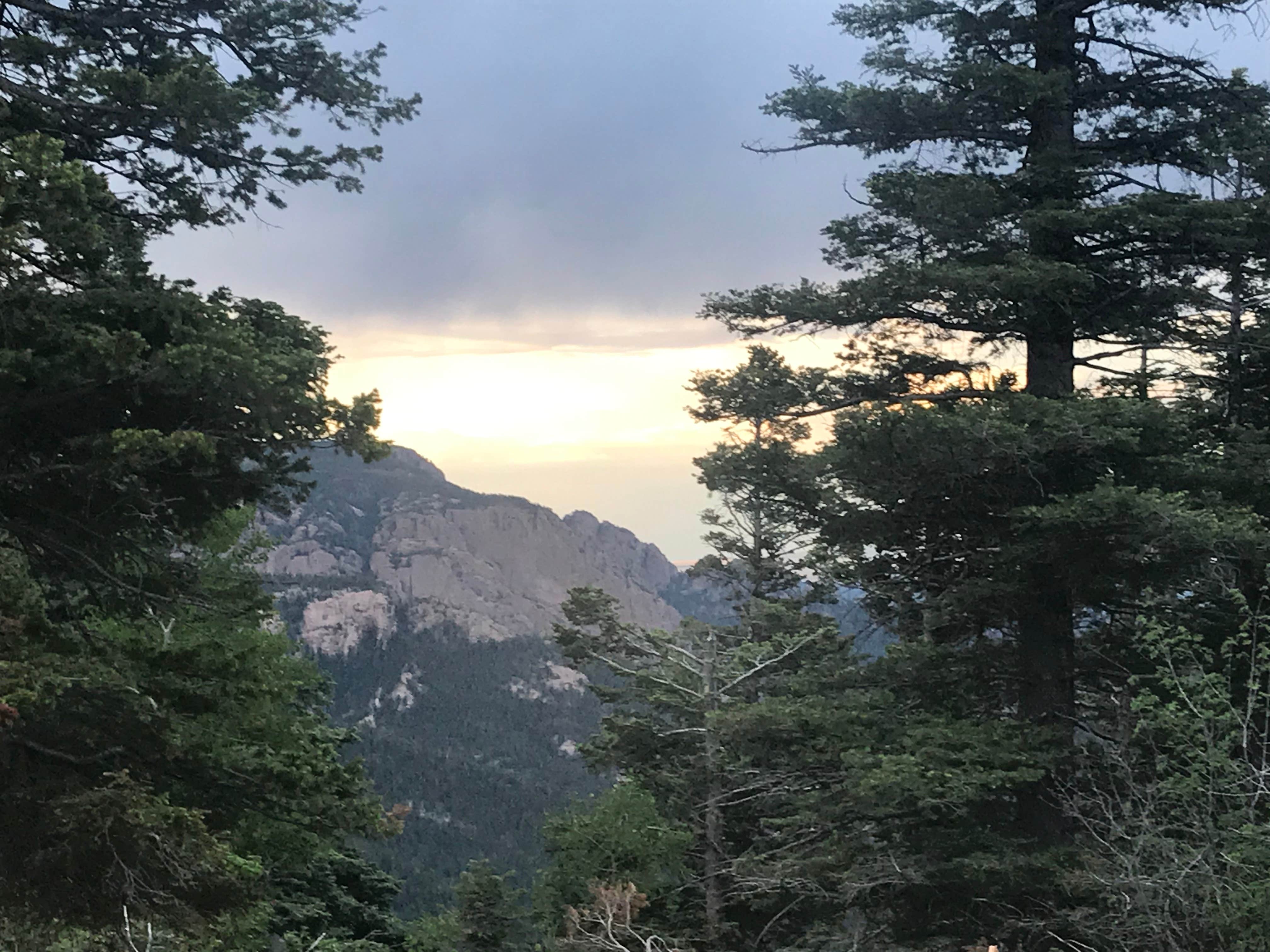 Nature