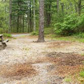 Review photo of Nickerson State Park Campground by Jean C., May 31, 2020