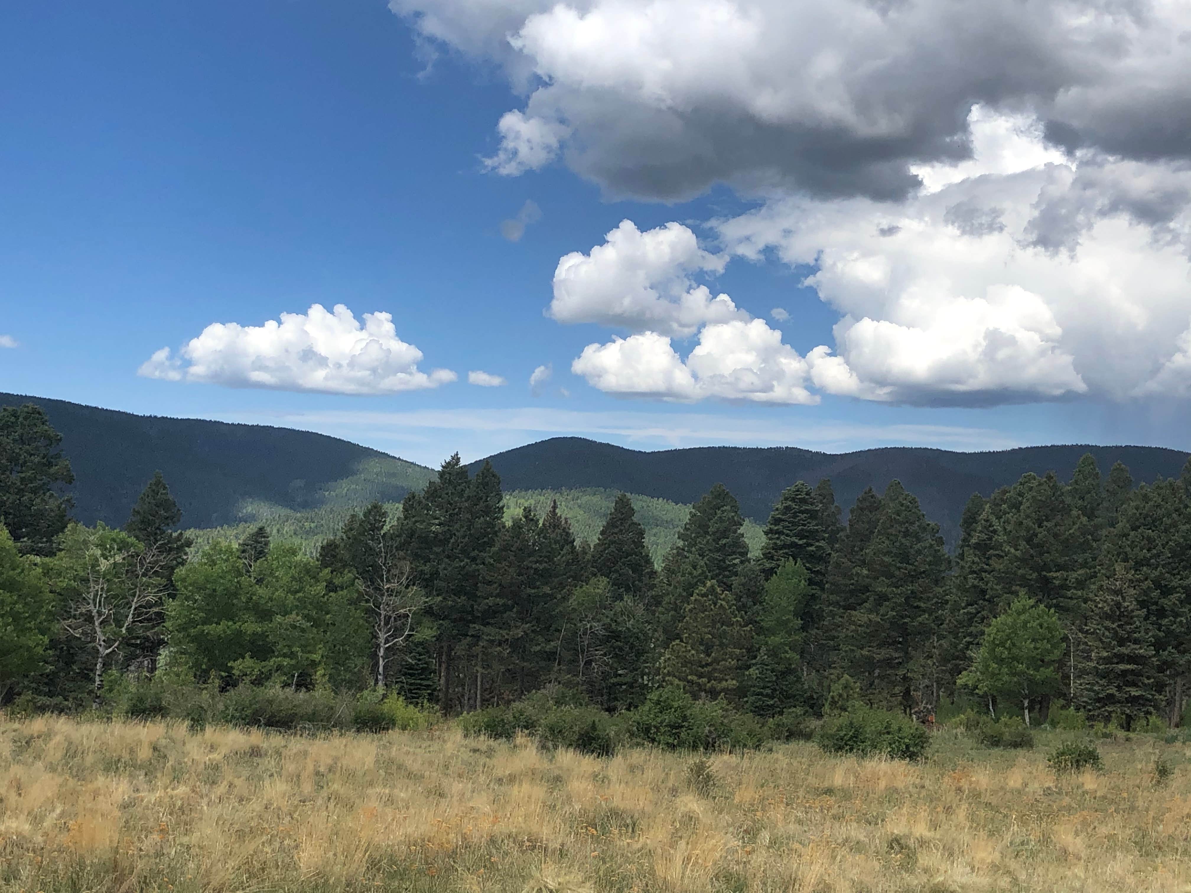 Camper-submitted photo at Johnson Mesa Campground near Sapello, NM