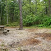 Review photo of Nickerson State Park Campground by Jean C., May 31, 2020