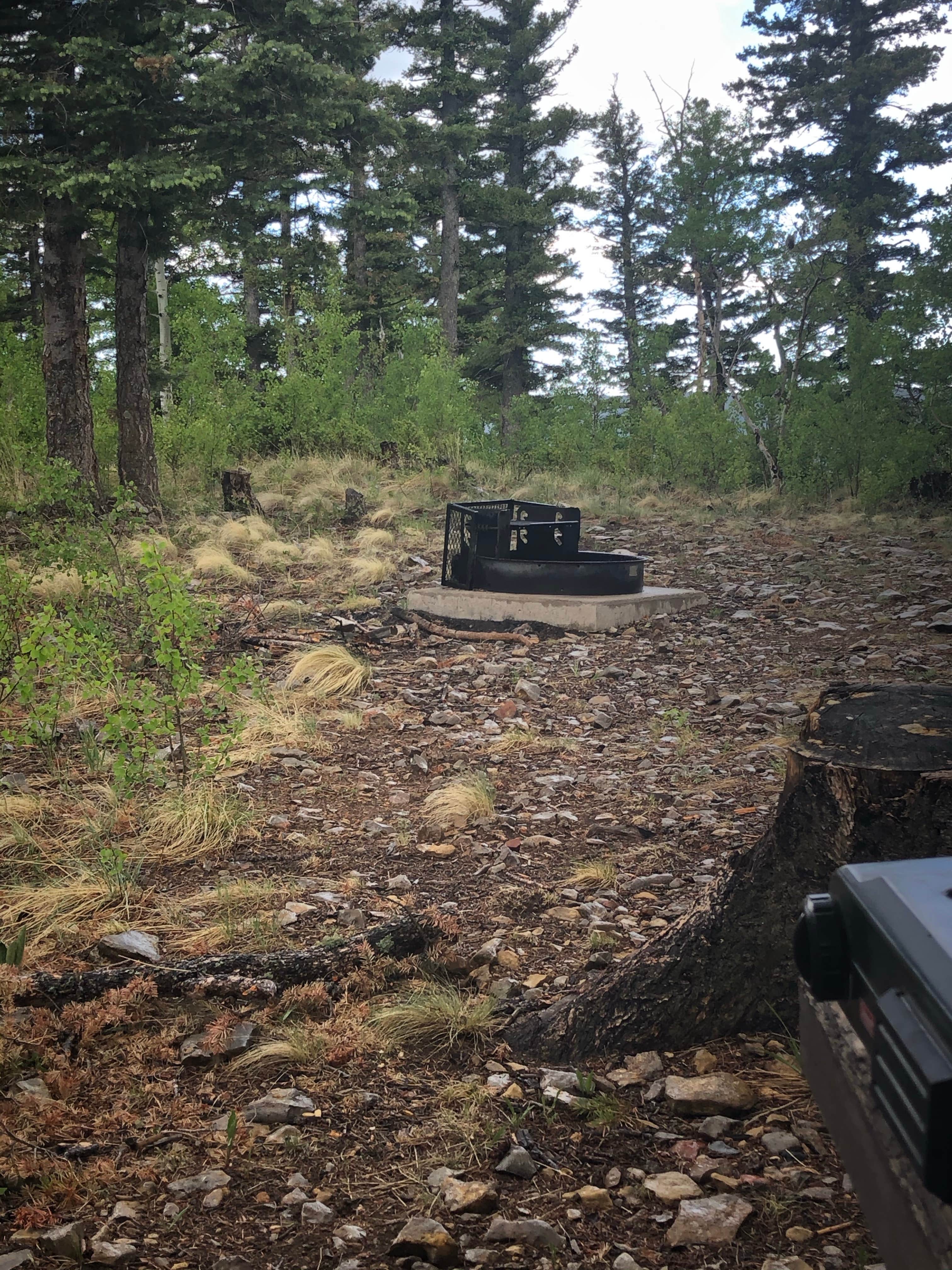Camper-submitted photo at Johnson Mesa Campground near Sapello, NM