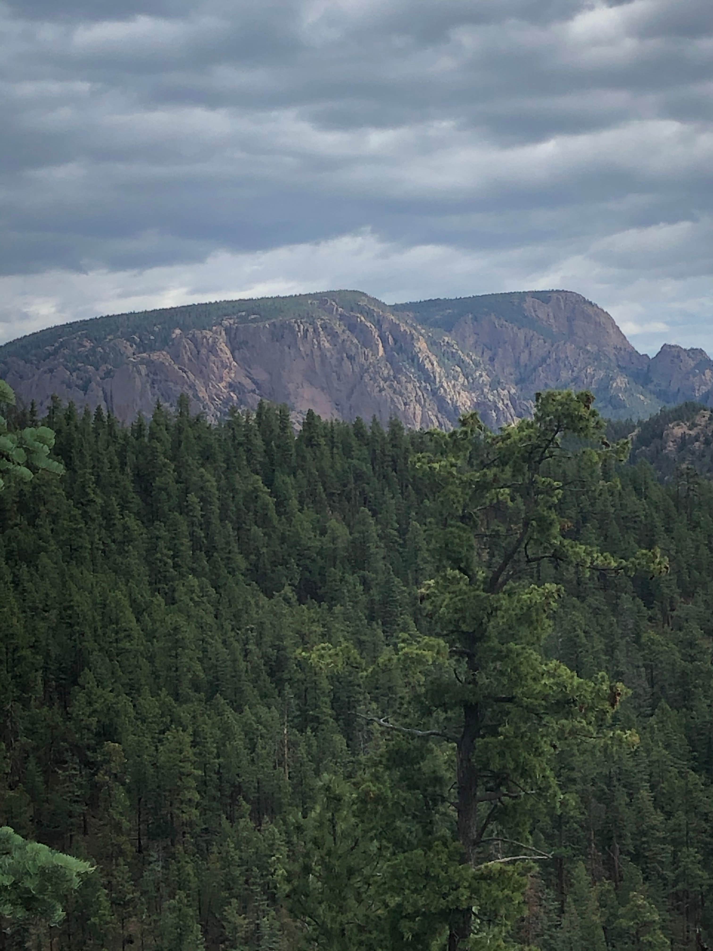 Camper-submitted photo at Johnson Mesa Campground near Sapello, NM