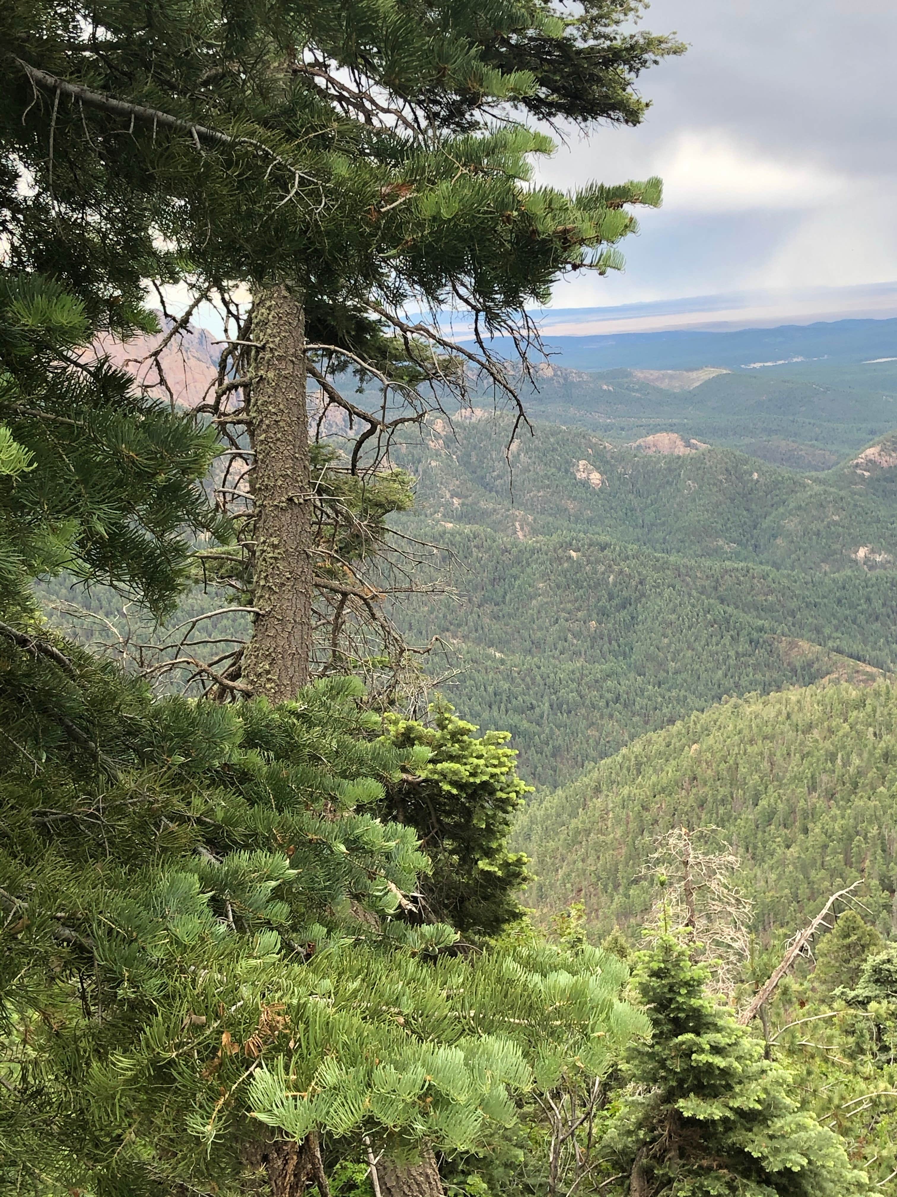 Camper-submitted photo at Johnson Mesa Campground near Sapello, NM
