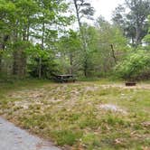 Review photo of Nickerson State Park Campground by Jean C., May 31, 2020