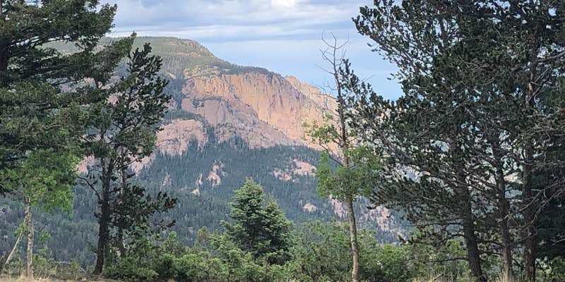 Camper submitted image from Johnson Mesa Campground