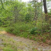 Review photo of Nickerson State Park Campground by Jean C., May 31, 2020