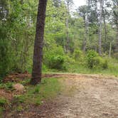 Review photo of Nickerson State Park Campground by Jean C., May 31, 2020