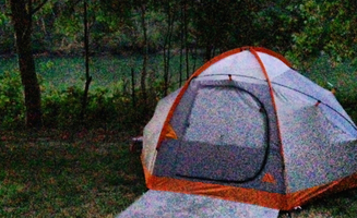 Kayko S.'s photo at Howard Miller Steelhead County Park near Darrington, WA