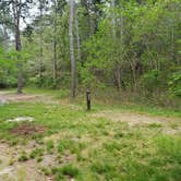 Review photo of Nickerson State Park Campground by Jean C., May 31, 2020