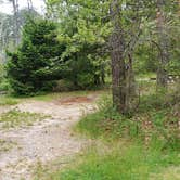 Review photo of Nickerson State Park Campground by Jean C., May 31, 2020