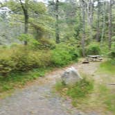 Review photo of Nickerson State Park Campground by Jean C., May 31, 2020