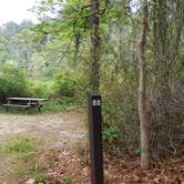 Review photo of Nickerson State Park Campground by Jean C., May 31, 2020