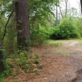 Review photo of Nickerson State Park Campground by Jean C., May 31, 2020