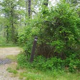 Review photo of Nickerson State Park Campground by Jean C., May 31, 2020