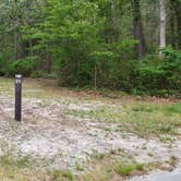 Review photo of Nickerson State Park Campground by Jean C., May 31, 2020