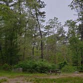 Review photo of Nickerson State Park Campground by Jean C., May 31, 2020