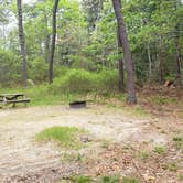 Review photo of Nickerson State Park Campground by Jean C., May 31, 2020