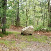 Review photo of Nickerson State Park Campground by Jean C., May 31, 2020