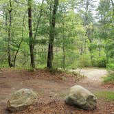 Review photo of Nickerson State Park Campground by Jean C., May 31, 2020