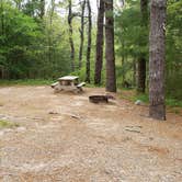 Review photo of Nickerson State Park Campground by Jean C., May 31, 2020