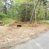 Review photo of Nickerson State Park Campground by Jean C., May 31, 2020