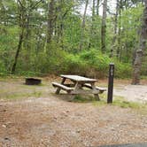 Review photo of Nickerson State Park Campground by Jean C., May 31, 2020