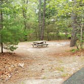 Review photo of Nickerson State Park Campground by Jean C., May 31, 2020