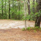 Review photo of Nickerson State Park Campground by Jean C., May 31, 2020