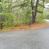 Review photo of Nickerson State Park Campground by Jean C., May 31, 2020