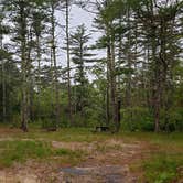 Review photo of Nickerson State Park Campground by Jean C., May 31, 2020