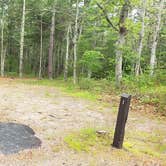 Review photo of Nickerson State Park Campground by Jean C., May 31, 2020