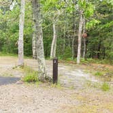 Review photo of Nickerson State Park Campground by Jean C., May 31, 2020